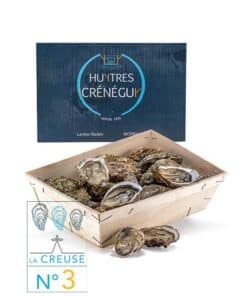 24 Huîtres creuses n°3