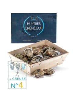24 Huîtres creuses n°4