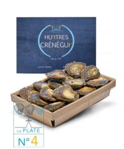 24 Huîtres plates n°4