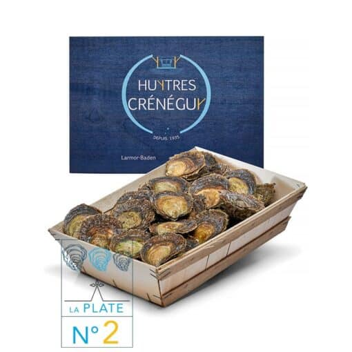 48 Huîtres plates n°2