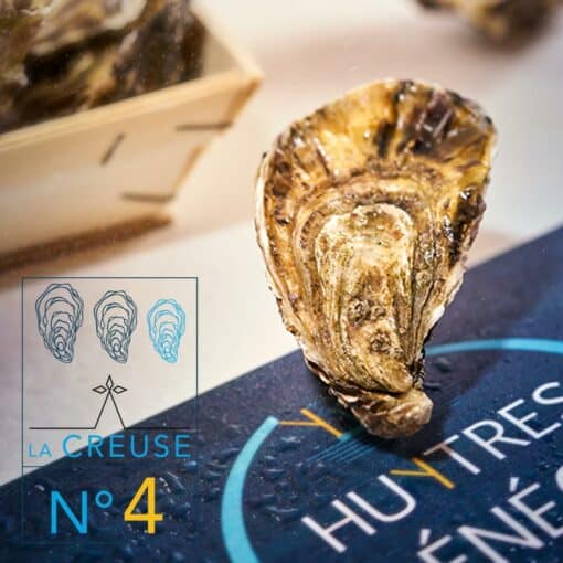 24 Huîtres creuses n°4 – Image 3