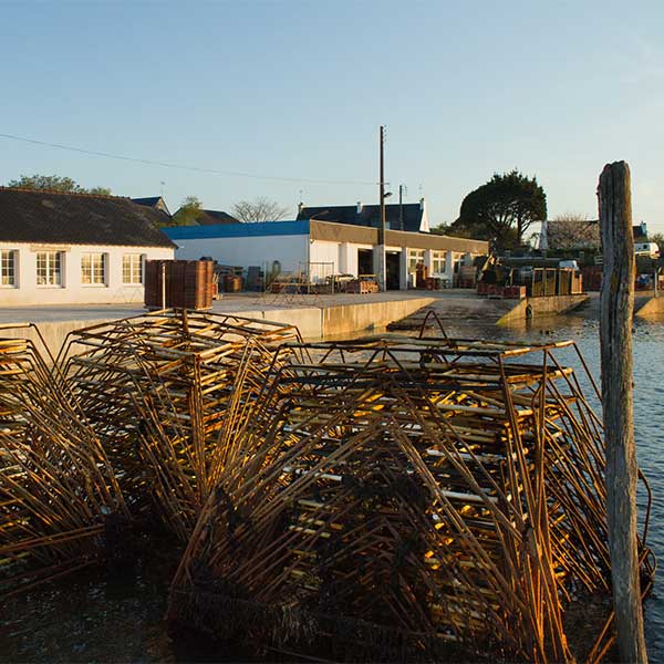 Chantier ostréiculteur en Bretagne sud.