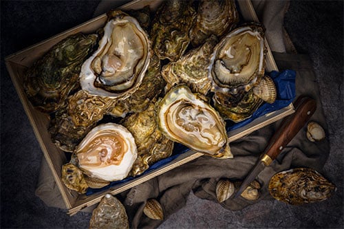 Huîtres creuses Crénéguy ouvertes avec lancette.