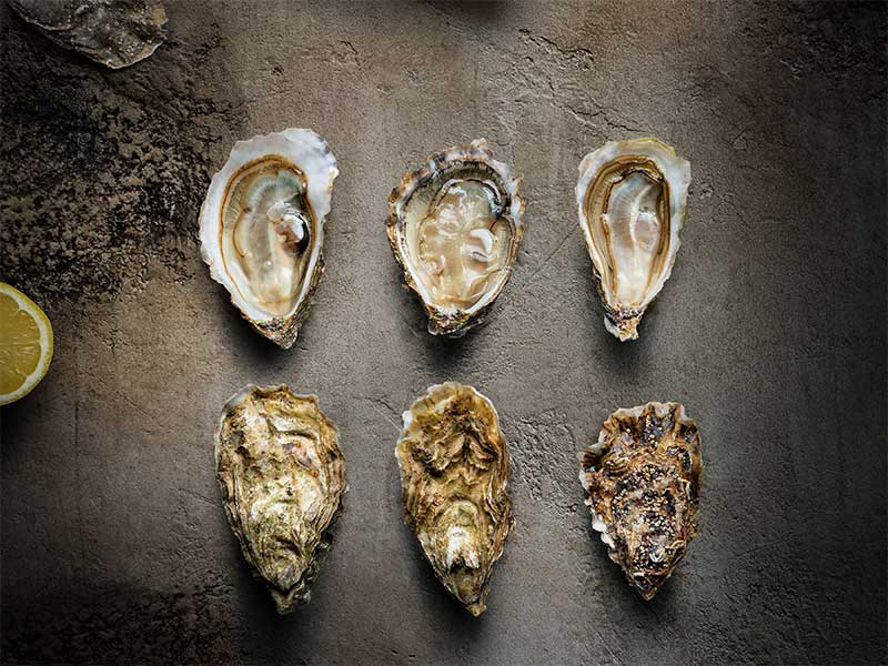 Trois huîtres creuses Crénéguy ouvertes.