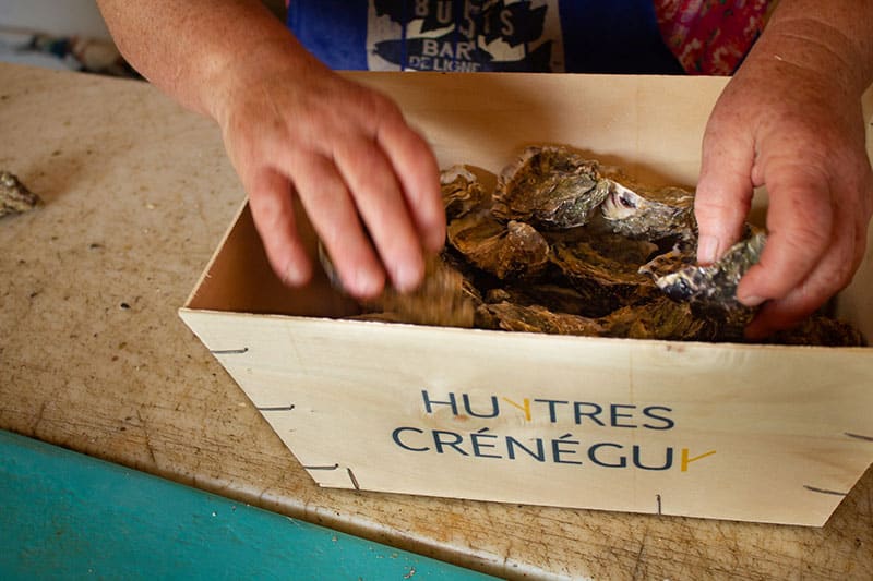 Une ancienne prépare une bourriche d'huîtres Crénéguy.